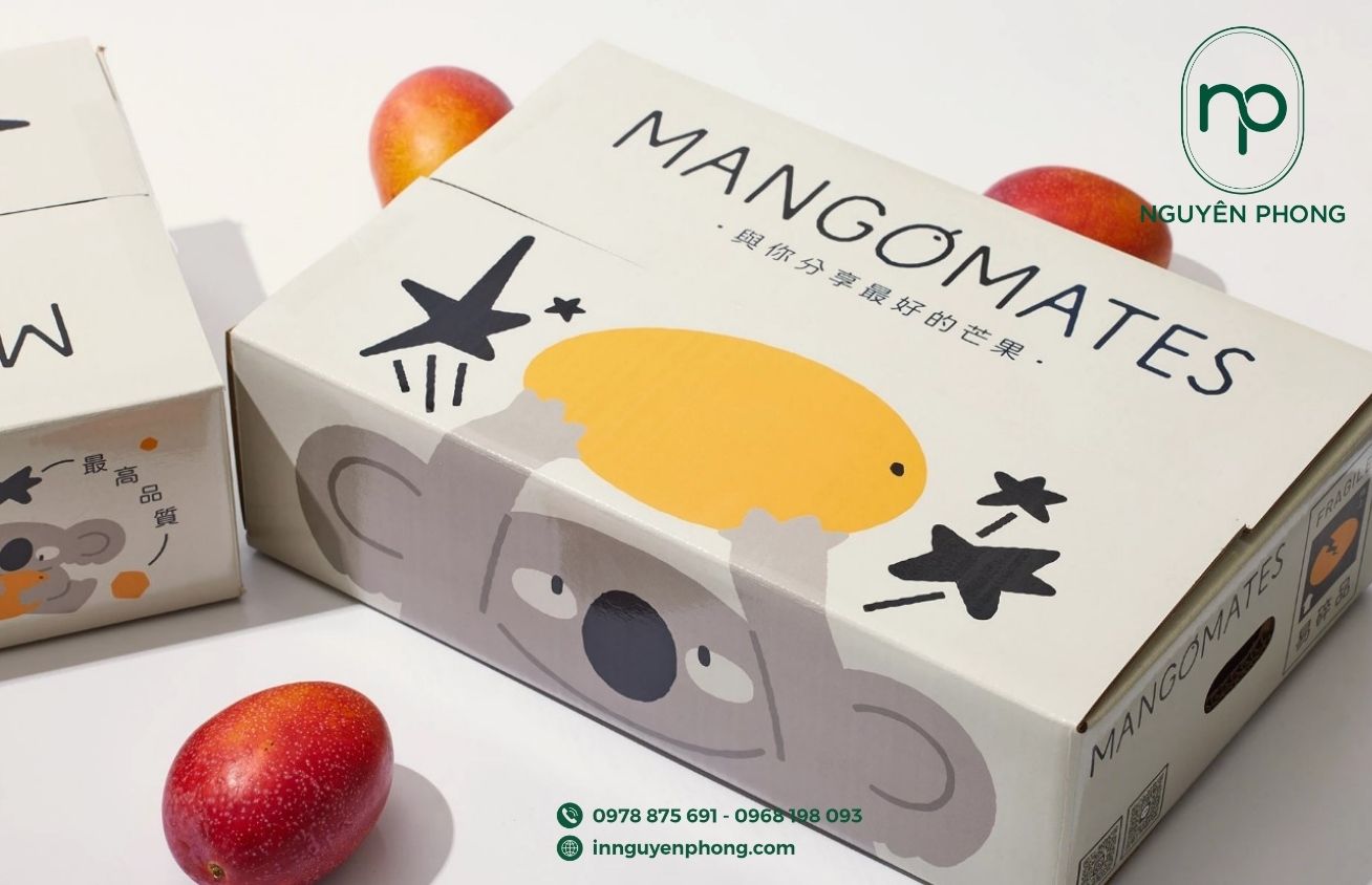 Mẫu thùng carton 3 lớp đựng quà xoài